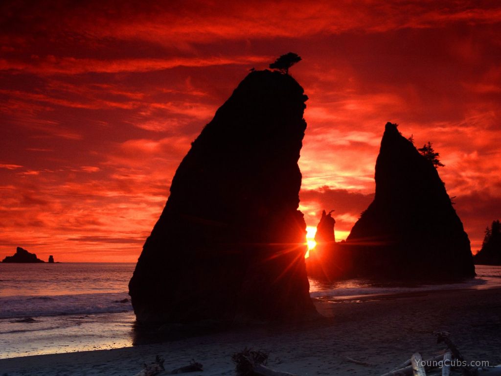 Sea Stacks Knife a Blood-Red Sky, Olympic National Park, Washington